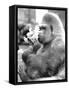 Gorilla with Flowers-Associated Newspapers-Framed Stretched Canvas