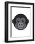 Gorilla-null-Framed Giclee Print