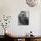 Gorilla-Nina Leen-Photographic Print displayed on a wall