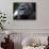 Gorilla-null-Framed Stretched Canvas displayed on a wall