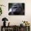 Gorilla-null-Photographic Print displayed on a wall