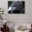 Gorilla-null-Photographic Print displayed on a wall