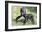 Gorilla-DLILLC-Framed Premium Photographic Print