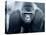 Gorilla-Gordon Semmens-Stretched Canvas