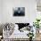 Gorilla-Gordon Semmens-Stretched Canvas displayed on a wall