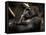 Gorilla-Stephen Arens-Framed Stretched Canvas