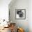 Gorilla-Sam Dunton-Framed Photographic Print displayed on a wall
