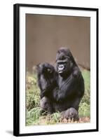 Gorilla-DLILLC-Framed Photographic Print