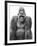 Gorilla-null-Framed Photographic Print