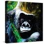 Gorilla-null-Stretched Canvas