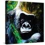 Gorilla-null-Stretched Canvas