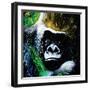 Gorilla-null-Framed Art Print