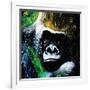 Gorilla-null-Framed Art Print