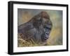 Gorilla-David Stribbling-Framed Art Print