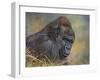 Gorilla-David Stribbling-Framed Art Print