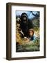 GORILLAS IN THE MIST: THE STORY OF DIAN FOSSEY [1988], directed by MICHAEL APTED.-null-Framed Photographic Print