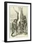 Gorillas, Male, Female and Young-null-Framed Giclee Print