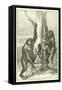 Gorillas, Male, Female and Young-null-Framed Stretched Canvas