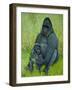 Gorillas-Pat Scott-Framed Giclee Print