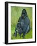 Gorillas-Pat Scott-Framed Giclee Print