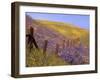 Gorman, California, USA-null-Framed Photographic Print