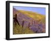 Gorman, California, USA-null-Framed Photographic Print