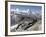 Gornergrat Station and the Matterhorn, Zermatt, Valais, Swiss Alps, Switzerland, Europe-Hans Peter Merten-Framed Photographic Print