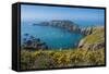 Gorse Blooming on the West of Coast of Sark with a View of the Island of Brecqhou-Michael Runkel-Framed Stretched Canvas