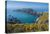 Gorse Blooming on the West of Coast of Sark with a View of the Island of Brecqhou-Michael Runkel-Stretched Canvas