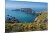 Gorse Blooming on the West of Coast of Sark with a View of the Island of Brecqhou-Michael Runkel-Mounted Photographic Print