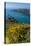 Gorse Blooming on the West of Coast of Sark with a View of the Island of Brecqhou-Michael Runkel-Stretched Canvas