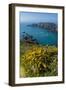 Gorse Blooming on the West of Coast of Sark with a View of the Island of Brecqhou-Michael Runkel-Framed Photographic Print