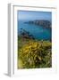 Gorse Blooming on the West of Coast of Sark with a View of the Island of Brecqhou-Michael Runkel-Framed Photographic Print