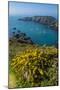 Gorse Blooming on the West of Coast of Sark with a View of the Island of Brecqhou-Michael Runkel-Mounted Photographic Print