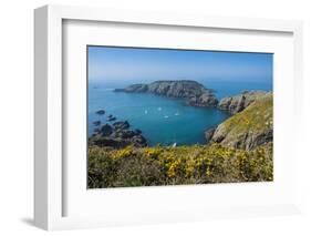 Gorse Blooming on the West of Coast of Sark with a View of the Island of Brecqhou-Michael Runkel-Framed Photographic Print