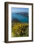 Gorse Blooming on the West of Coast of Sark with a View of the Island of Brecqhou-Michael Runkel-Framed Photographic Print