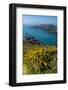 Gorse Blooming on the West of Coast of Sark with a View of the Island of Brecqhou-Michael Runkel-Framed Photographic Print