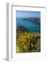 Gorse Blooming on the West of Coast of Sark with a View of the Island of Brecqhou-Michael Runkel-Framed Photographic Print