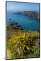 Gorse Blooming on the West of Coast of Sark with a View of the Island of Brecqhou-Michael Runkel-Mounted Photographic Print