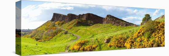 Gorse Bushes Growing on Arthur's Seat, Edinburgh, Scotland-null-Stretched Canvas