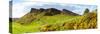 Gorse Bushes Growing on Arthur's Seat, Edinburgh, Scotland-null-Stretched Canvas