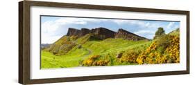 Gorse Bushes Growing on Arthur's Seat, Edinburgh, Scotland-null-Framed Photographic Print