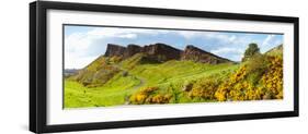 Gorse Bushes Growing on Arthur's Seat, Edinburgh, Scotland-null-Framed Photographic Print