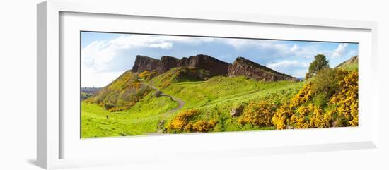 Gorse Bushes Growing on Arthur's Seat, Edinburgh, Scotland-null-Framed Photographic Print