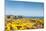 Gorse covered cliffs along Cornish coastline, westernmost part of British Isles, Cornwall, England-Alex Treadway-Mounted Photographic Print