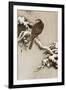 Goshawk on a Snow Covered Pine Branch-Koson Ohara-Framed Giclee Print