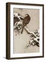 Goshawk on a Snow Covered Pine Branch-Koson Ohara-Framed Giclee Print