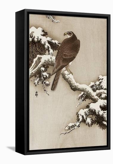 Goshawk on a Snow Covered Pine Branch-Koson Ohara-Framed Stretched Canvas