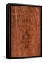 Gospel of Judas; Codex Tchacos; Critical Edition, Gnostic Text;Geneva, 2006 (Photo)-Kenneth Garrett-Framed Stretched Canvas