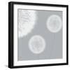 Gossamer Breeze IV-Lucy Meadows-Framed Giclee Print